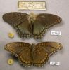 127445-6.JPG