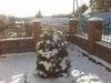 20161105_131028.thumb.jpg.6e0dbcb2e376f60f87ed5914fd4d9e5e.jpg?1478620813291