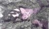 20161108_100216.jpg
