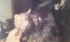 20161108_100238.jpg