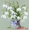 Риолис (Сотвори Сама) 1403, Подснежники