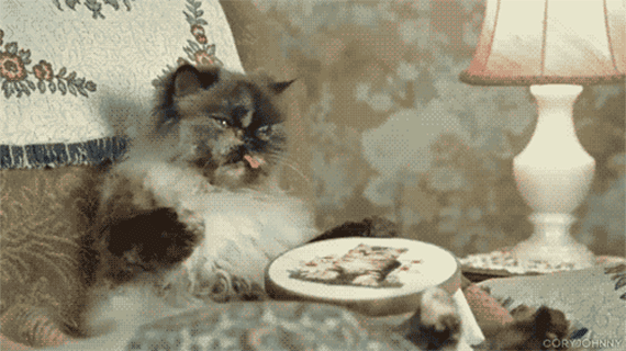 32d8fb4425f1511b1b012c5eecfc301b.gif