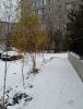 п20161103_083108.jpg