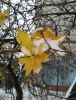 п20161103_084704.jpg