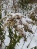 п20161103_084928.jpg
