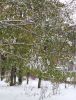 п20161103_125030.jpg
