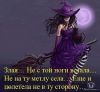 на метле.jpg