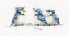 VPTB579 The Blues.jpg