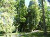 749.Дорожка к аллее Керн.JPG