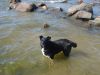 DSC01415.JPG