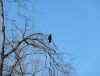 DSC01434_.jpg
