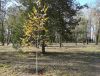 DSC01435_.jpg