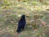DSC01440_.jpg