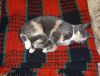 DSC01444_.jpg
