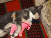 DSC01449_.jpg