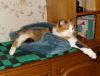 DSC01457_.jpg