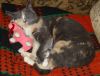 DSC01469_.jpg