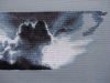 DSC01477_.jpg