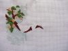 DSC01509_.jpg