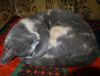 DSC01513_.jpg