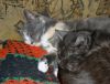 DSC01516_.jpg