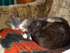 DSC01517_.jpg
