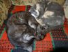 DSC01518_.jpg