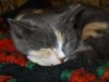 DSC01522_.jpg