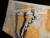 DSC01532_.thumb.jpg.2cf39dfacc12f1906cd2edd29067e9dd.jpg?1480523010062