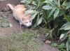 DSC02150.JPG