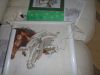 DSC02362.JPG