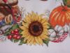 DSC03147.JPG