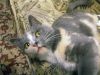 DSC03675_.jpg