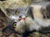 DSC03677_.jpg