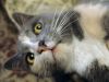 DSC03678_.jpg