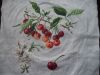 DSC04487.JPG