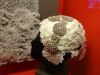 DSC04816.JPG