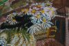 DSC05005.JPG
