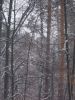 DSCN0165.JPG