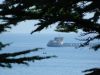 DSCN0707.JPG