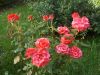 DSCN7705.JPG