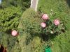 DSCN7706.JPG