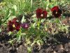 DSCN7718.JPG