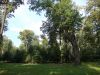 DSCN7731.JPG