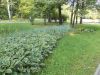 DSCN7733.JPG