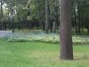 DSCN7734.JPG