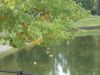 DSCN7744.JPG
