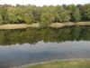 DSCN7745.JPG
