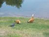 DSCN7756.JPG
