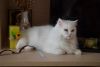 DSC_0786.JPG